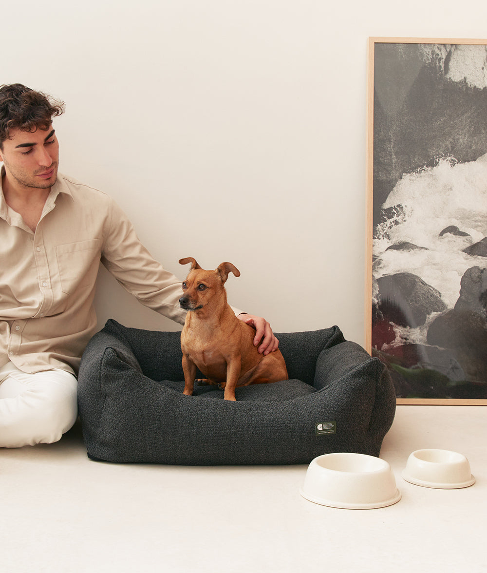 Ceramic Food Bowl