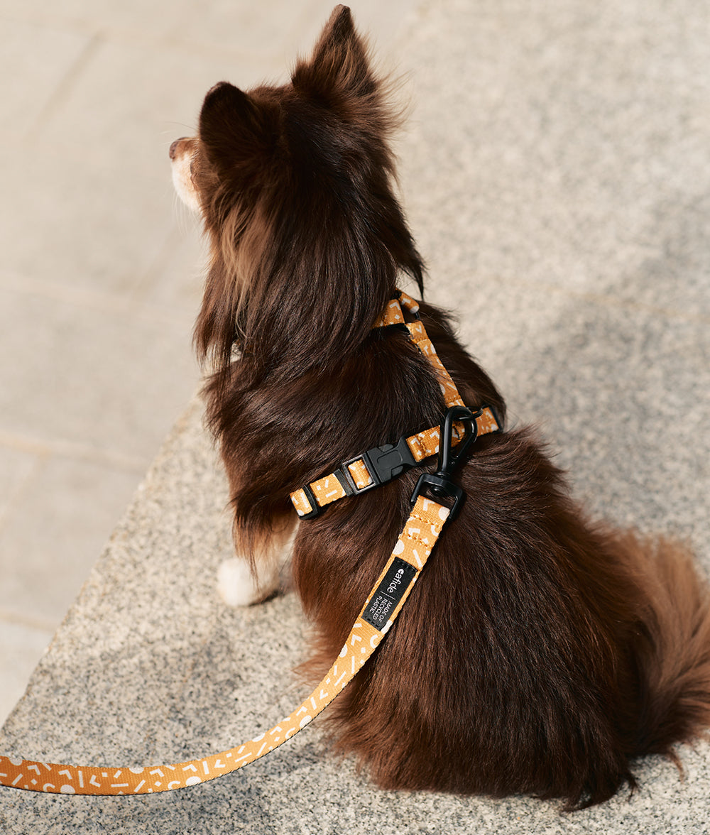 Recycled PET Dog Harness Yellow