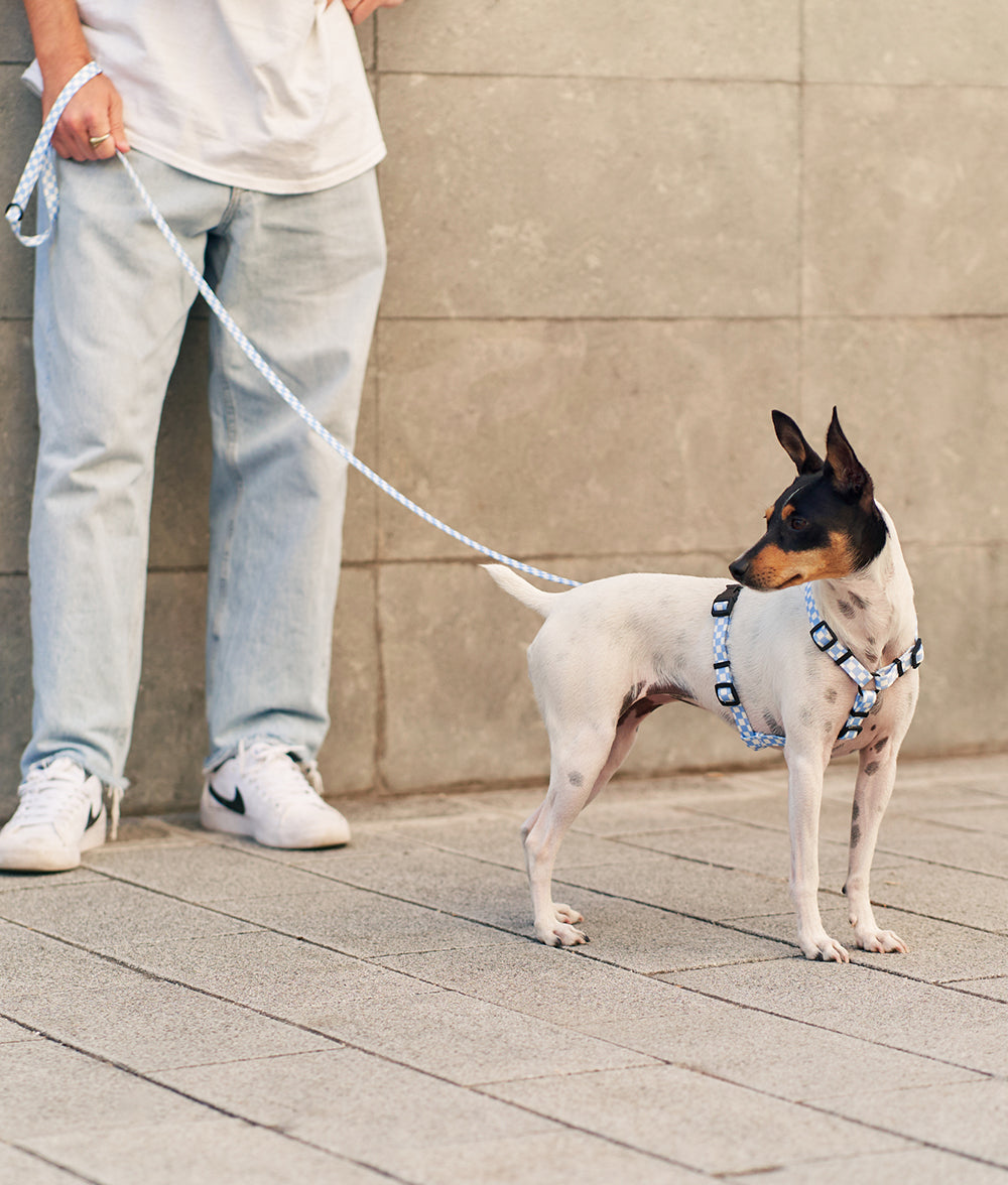 Recycled PET Dog Harness Blue
