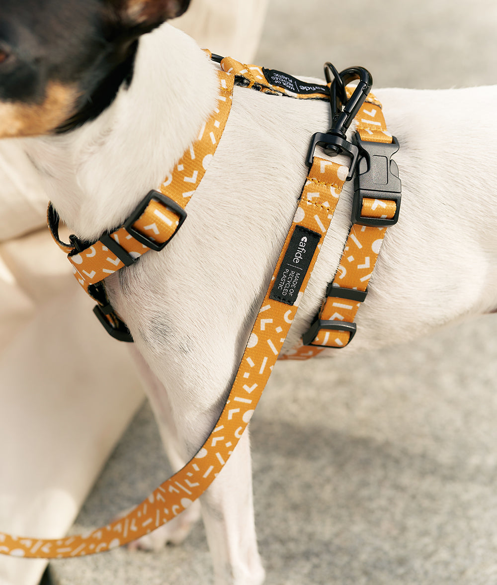 Recycled PET Dog Harness Yellow