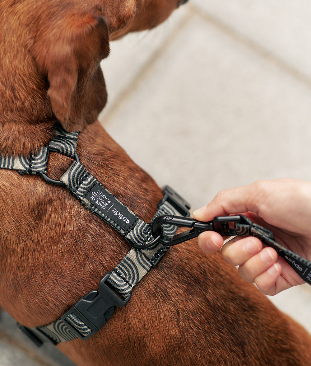 Recycled PET Dog Harness Green